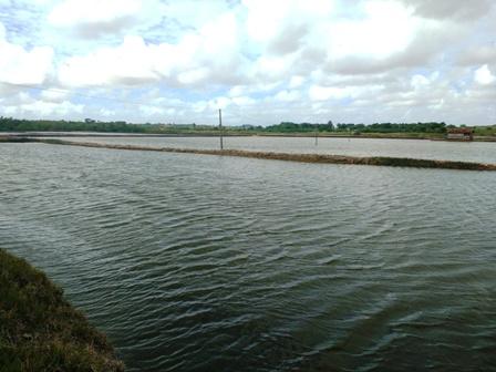 Técnicos da Adema representam Sergipe em workshop nacional