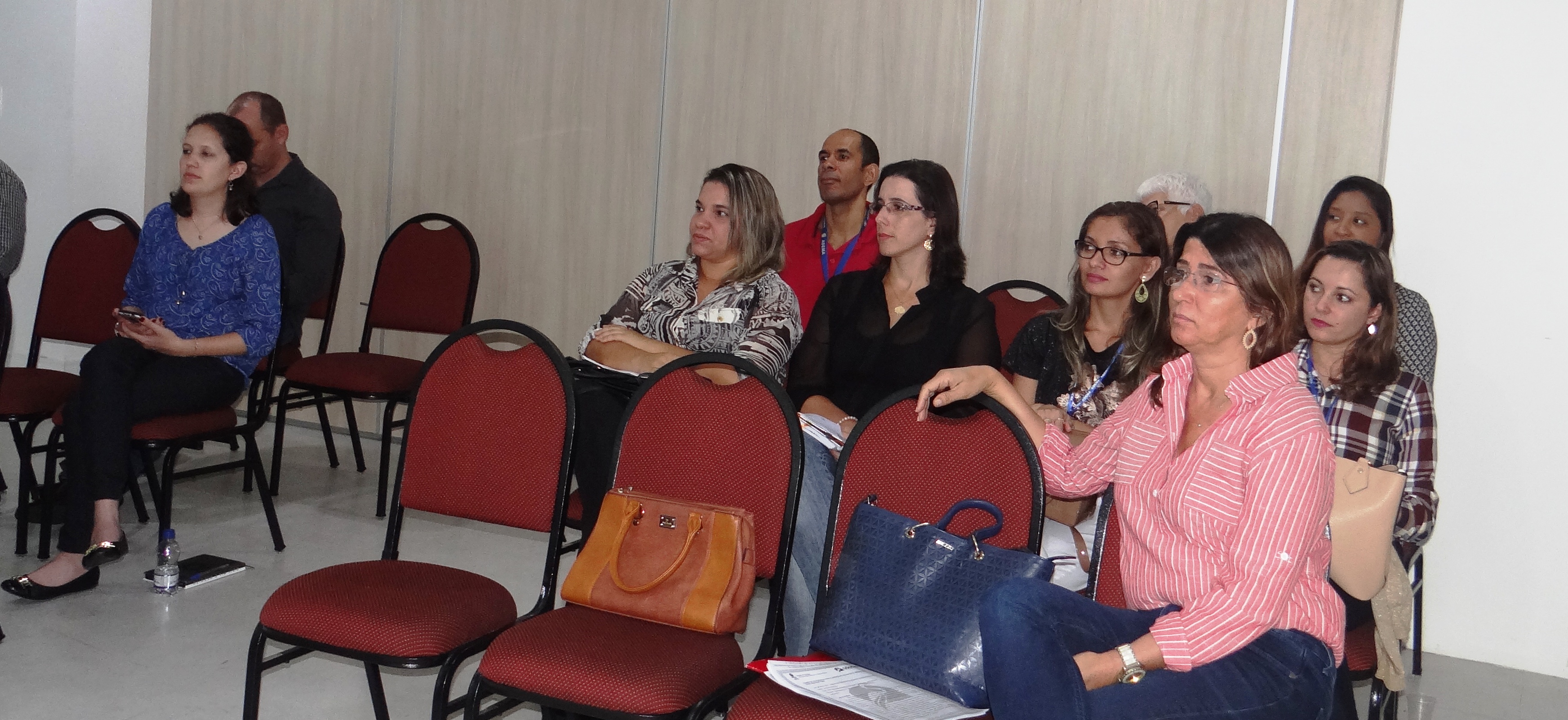 Equipe técnica da Adema analisa projeto de funcionamento da Linha de Transmissão Xingó-Jardim