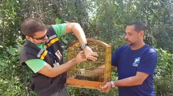 Equipe técnica da Adema resgata 7 pássaros no interior do Estado