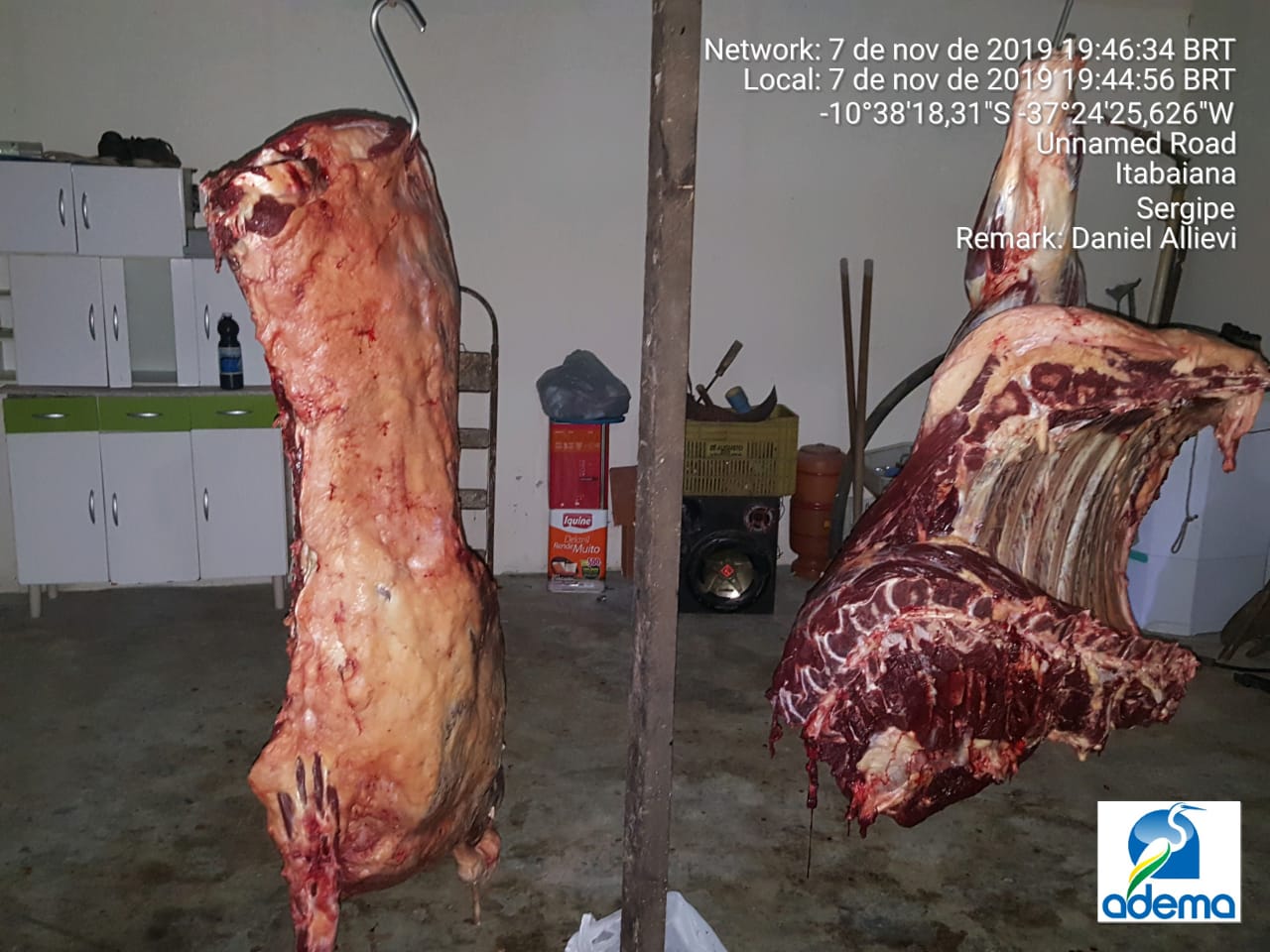 Adema notifica matadouro clandestino em povoado de Itabaiana