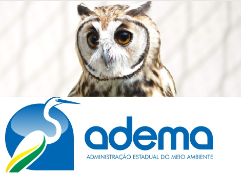 Termo de Guarda de Animais Silvestres – TGAS