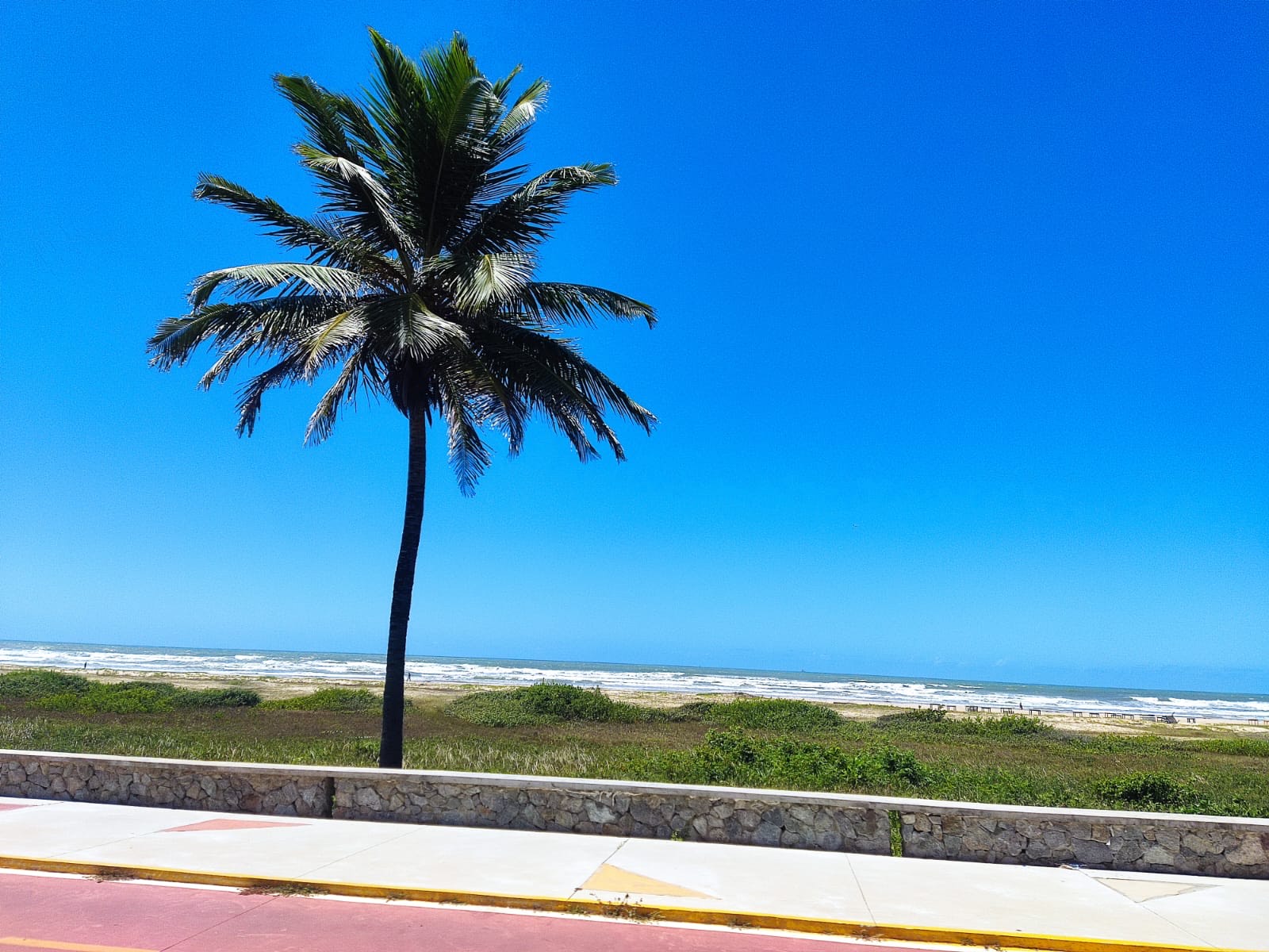 Praias de Sergipe estão próprias para banho