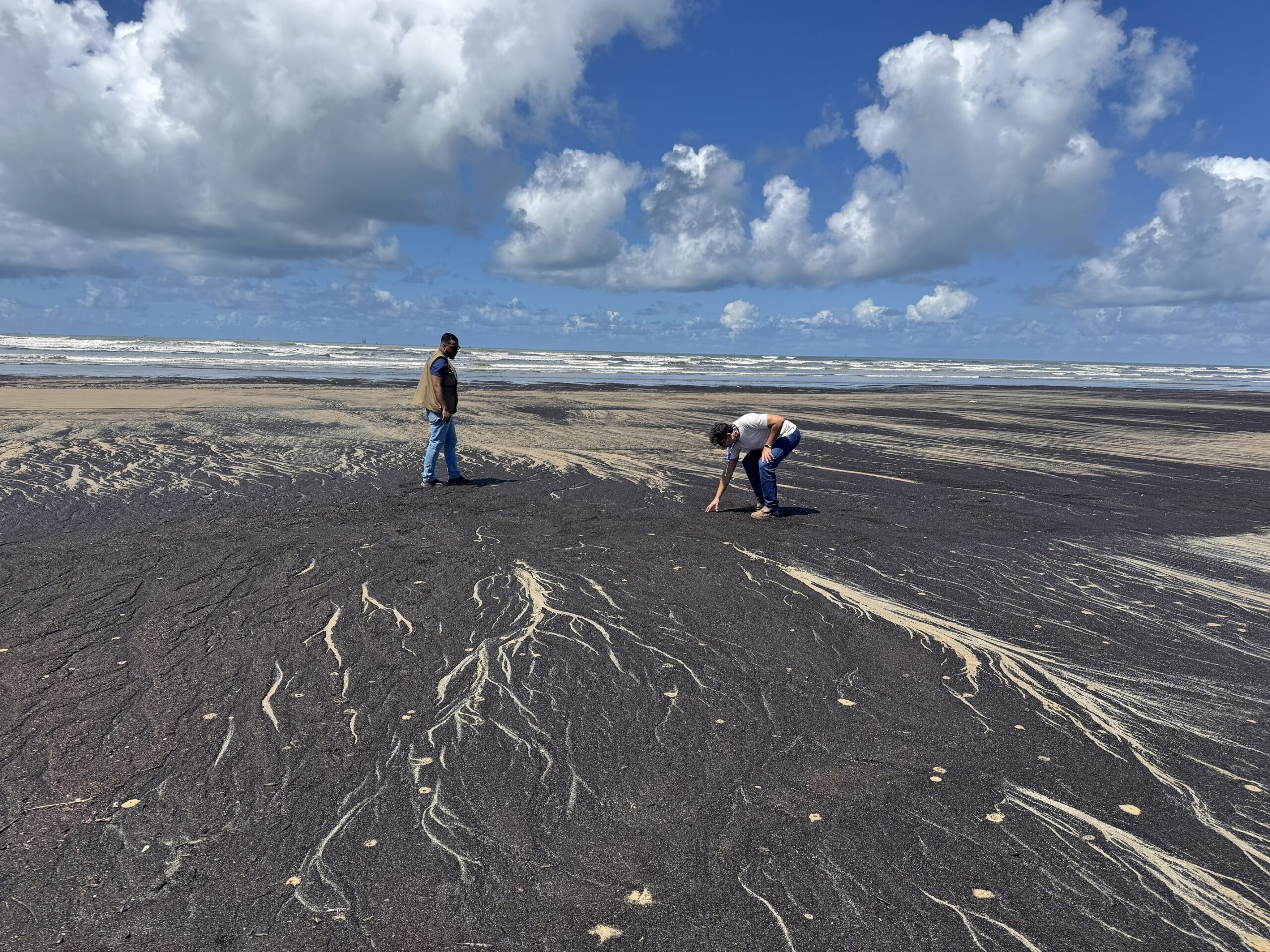 Adema esclarece presença de resíduos naturais em praias durante período de chuvas